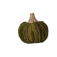 Pumpkin with Wood Stem
