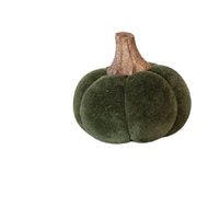 Pumpkin with Wood Stem