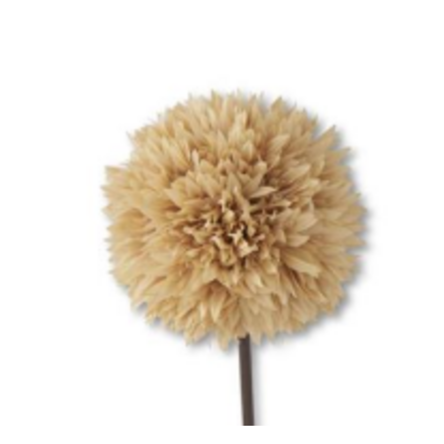 26" Allium Stem