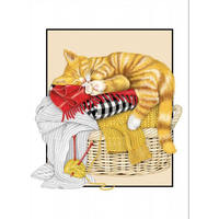 Cat Laundry Birthday Card