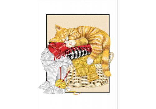 Sugarhouse Greetings Cat Laundry Birthday Card 