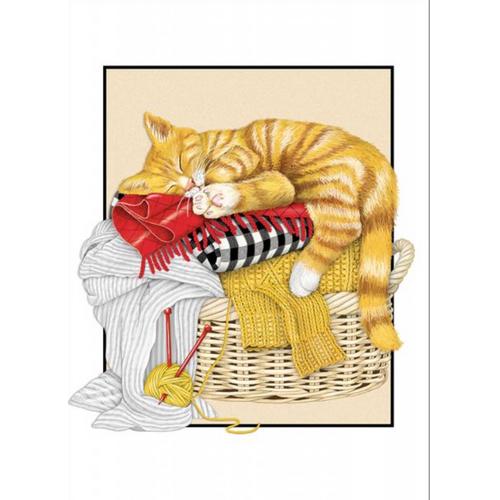  Sugarhouse Greetings Cat Laundry Birthday Card 