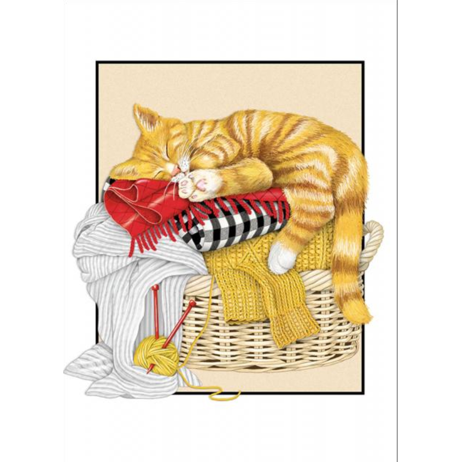 Cat Laundry Birthday Card