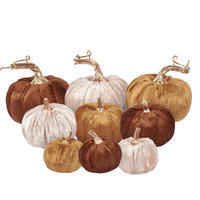 Fall Velvet Pumpkin Set