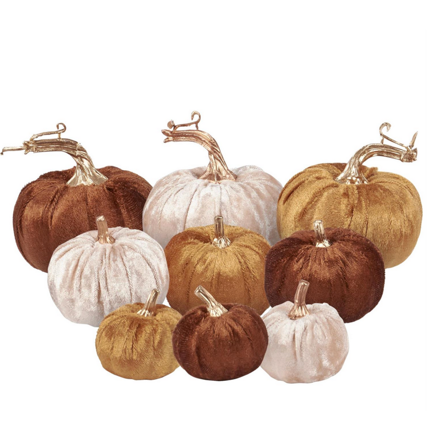 Fall Velvet Pumpkin Set