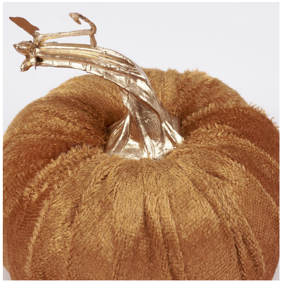 Fall Velvet Pumpkin Set