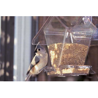 Window Cafe Hopper