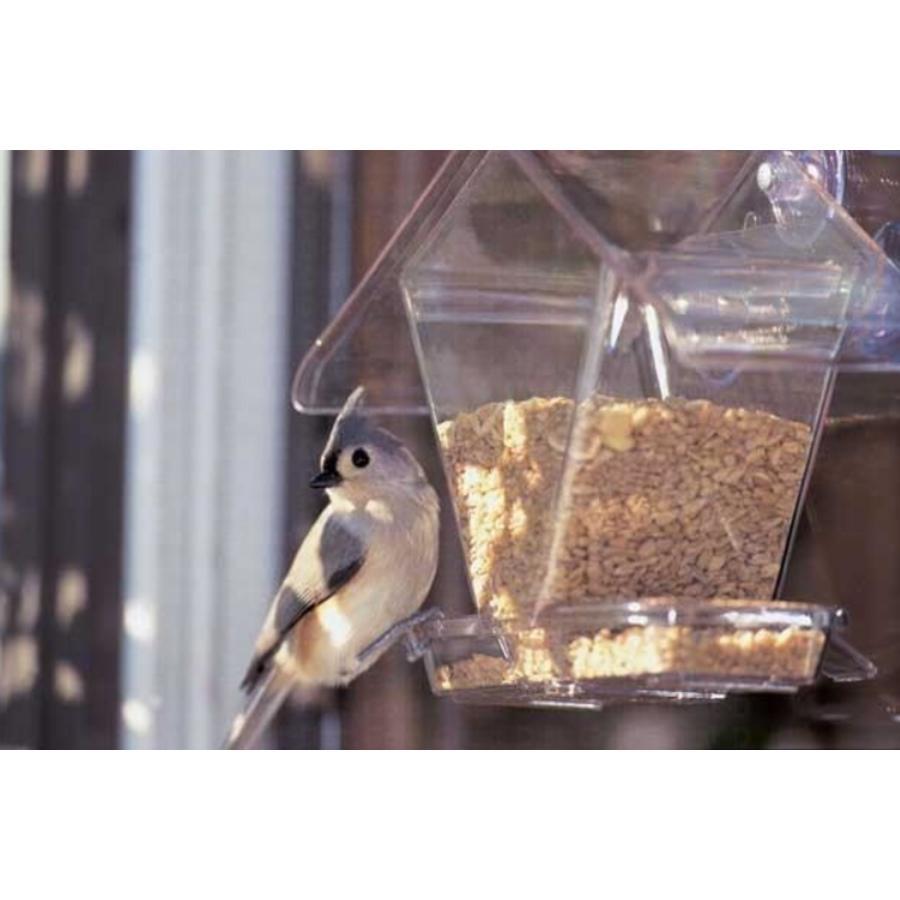 Window Cafe Hopper