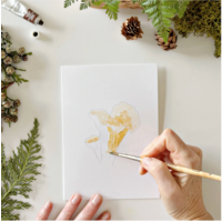 Mushrooms Paintable Notecards