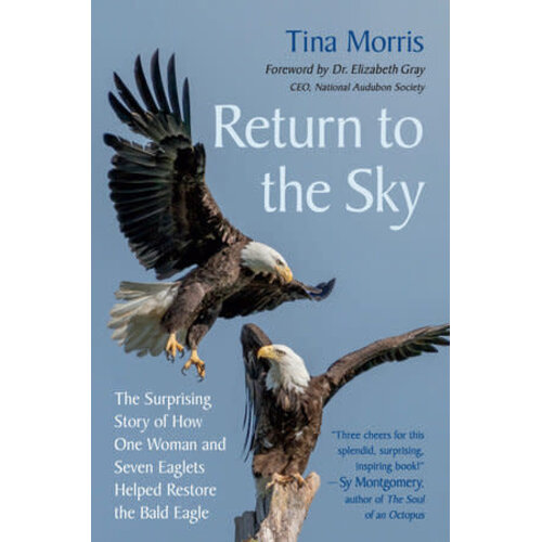  Return to the Sky 