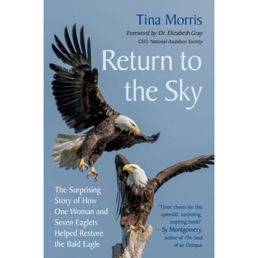Return to the Sky