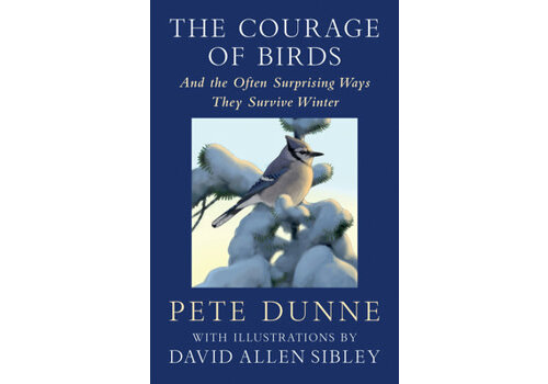  The Courage of Birds 
