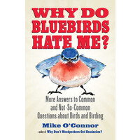 Why Do Bluebirds Hate Me?