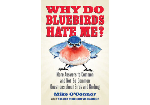  Why Do Bluebirds Hate Me? 