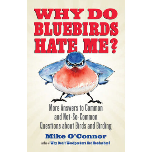  Why Do Bluebirds Hate Me? 