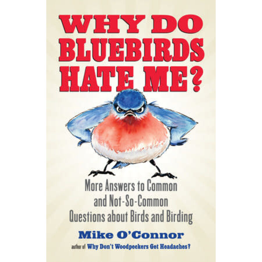 Why Do Bluebirds Hate Me?