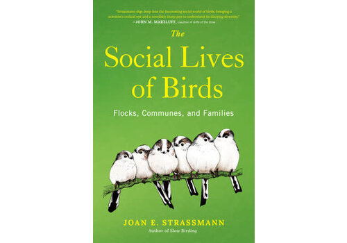  The Social Lives of Birds: Flocks, Communes, and Families 