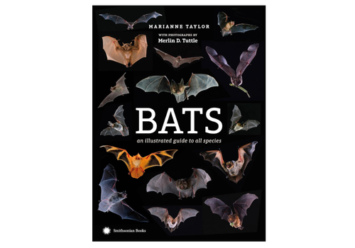  Bats: An Illustrated Guide to All Species 