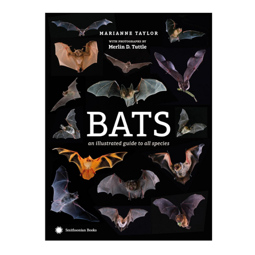  Bats: An Illustrated Guide to All Species 