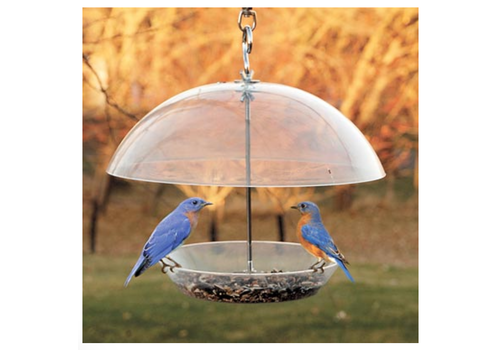  Bird Yard Direct Audubon Domed Wild Bird Feeder 