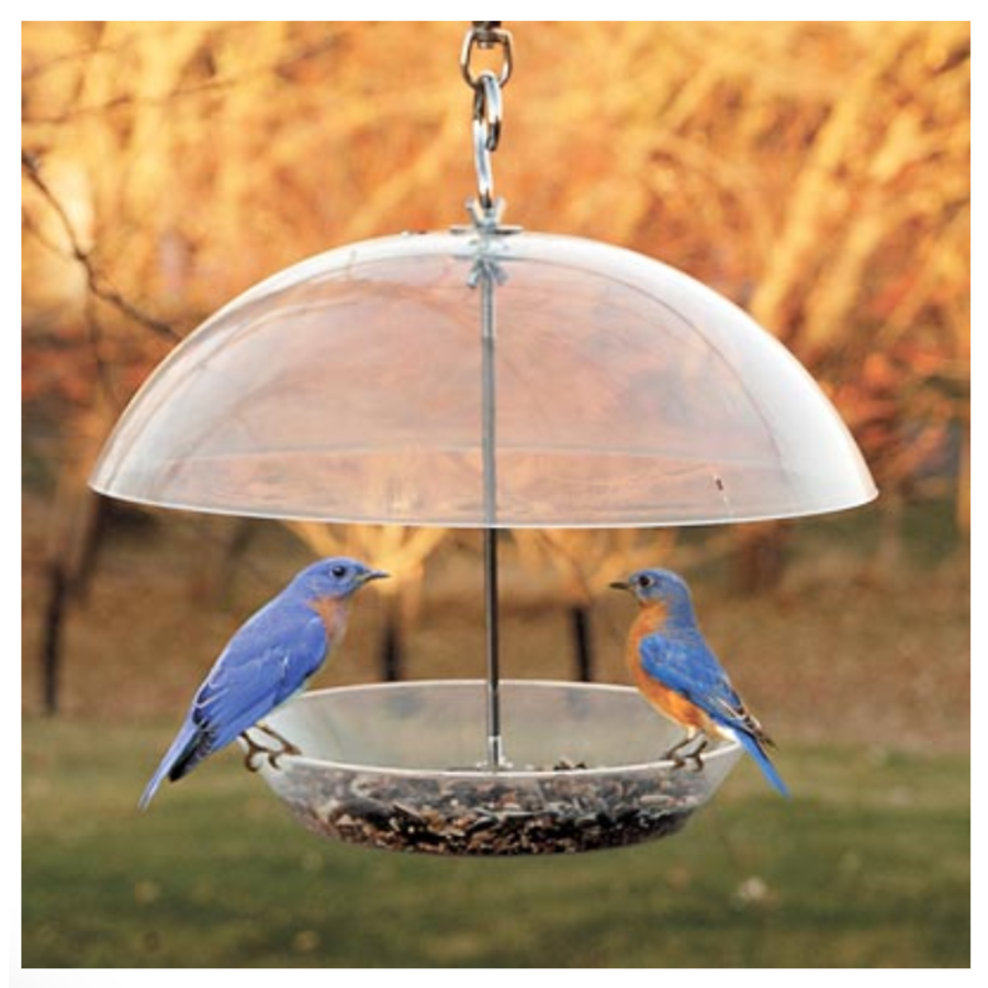 Audubon Domed Wild Bird Feeder