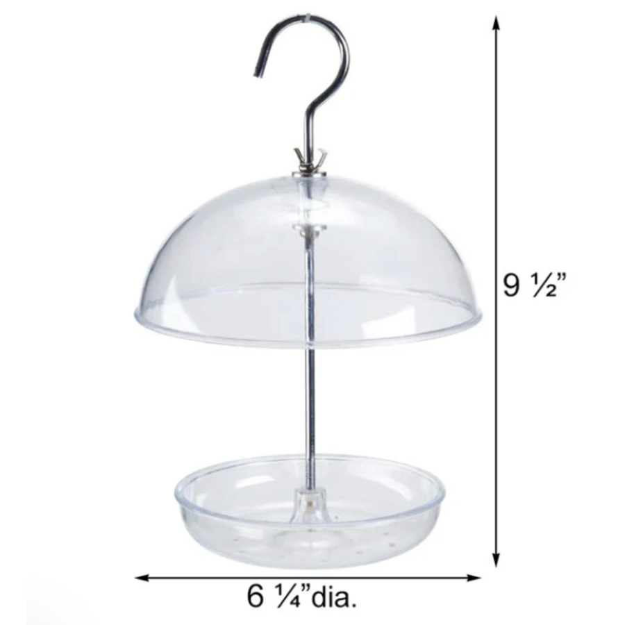 Clear Domed Platform Bird Feeder
