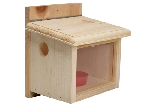  Bird Yard Direct Post-Mount Bluebird Feeder 