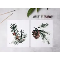 Winter Greenery Paint-By-Numbers Kit
