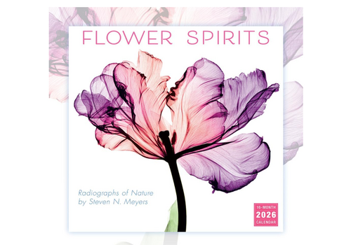  Sellers Publishing Flower Spirits 2026 Wall Calendar 
