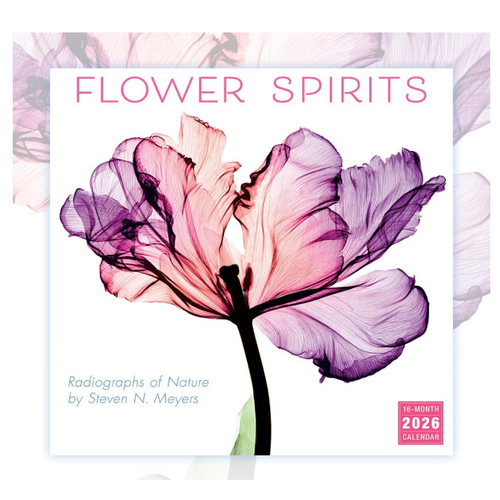  Sellers Publishing Flower Spirits 2026 Wall Calendar 