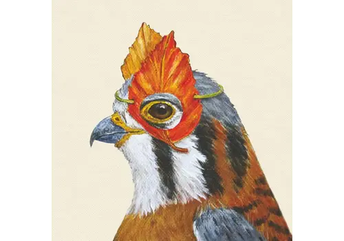 Paper Products Design Clive Beverage Napkins 