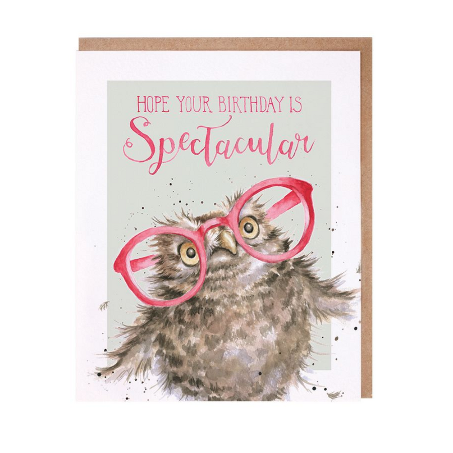 Spectacular Owl Birthday Card