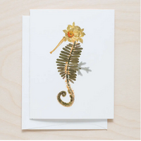 Seahorse Card