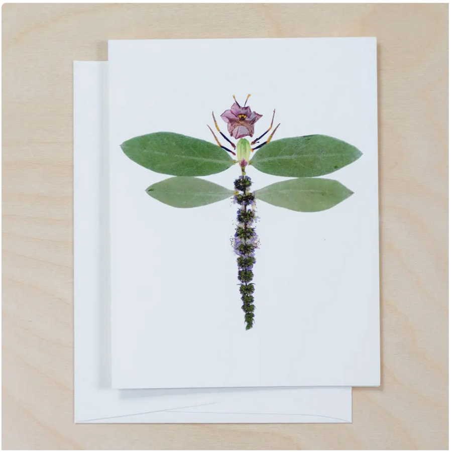Dragonfly Card