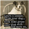 Raven's Rest Studio Lesson From Your Dog Magnet
