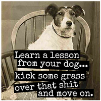 Lesson From Your Dog Magnet