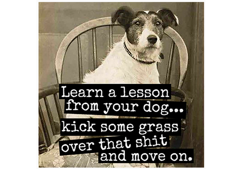  Raven's Rest Studio Lesson From Your Dog Magnet 