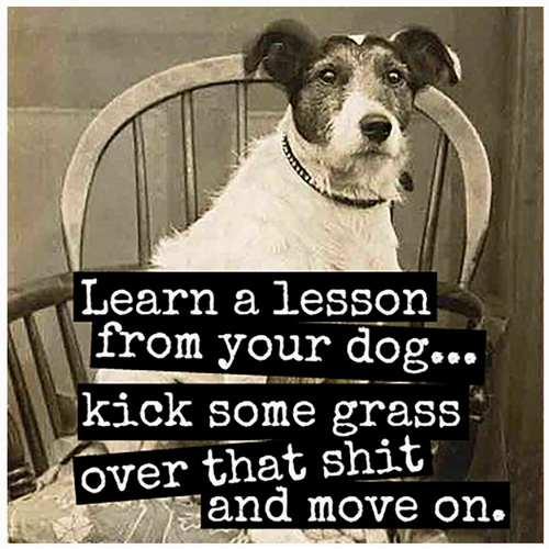  Raven's Rest Studio Lesson From Your Dog Magnet 