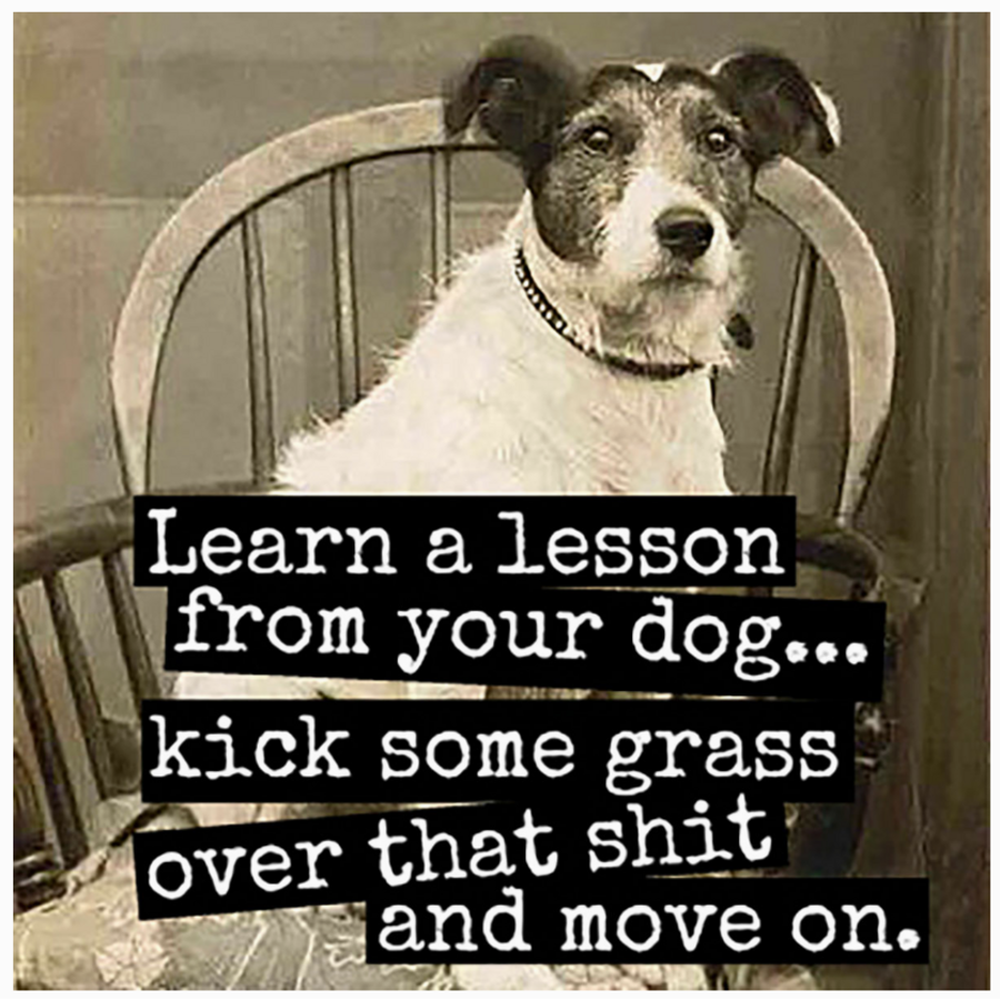 Lesson From Your Dog Magnet