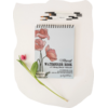 Bailey Rae Studio Floral Watercoloring Book-21 Outlines with Video Tutorials