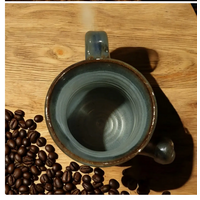 Lester the Dolphin Mug