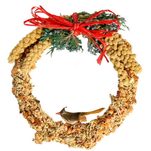  Mr Bird Rustic Bird Seed Wreath 10" 