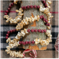 9' Popcorn Cranberry Garland