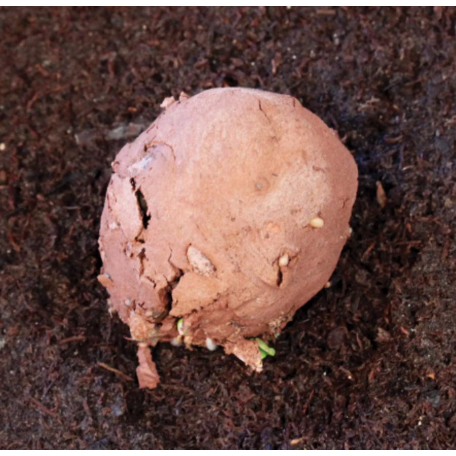 Wild Bird Seed Stones