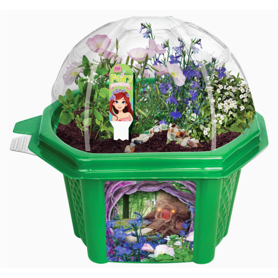 Tiny Fairy Wonderland Micro Terrarium