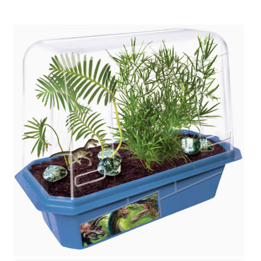 Prehistoric Dinosaur Land Mini World Terrarium