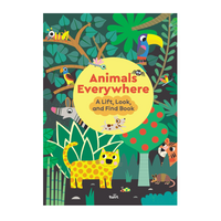 Animals Everywhere: A Lift, Look, and Find Book