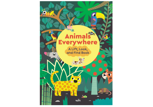  Animals Everywhere: A Lift, Look, and Find Book 
