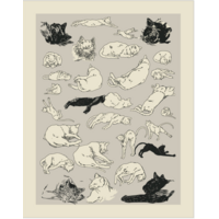 Cats Relaxing Magnet