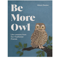 Be More Owl: Life Lessons from Our Feathered Friends